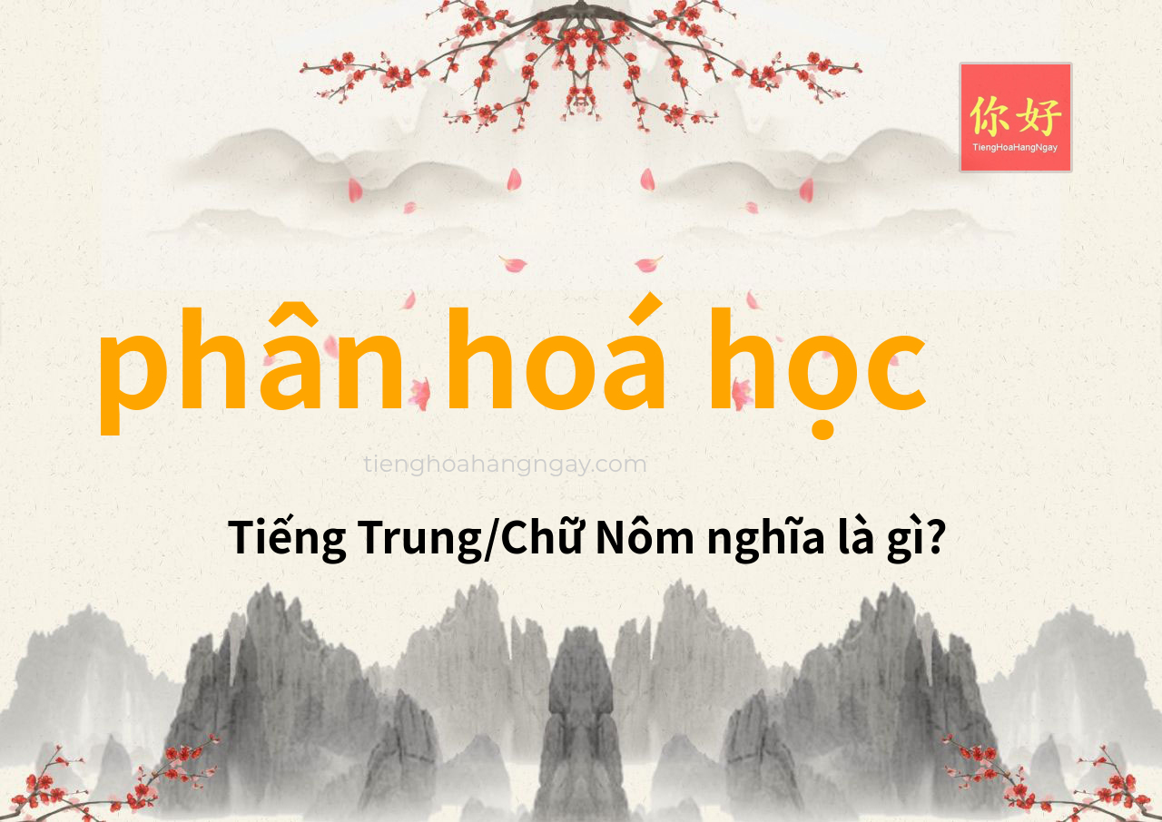 phân hoá học tiếng Trung là gì?
